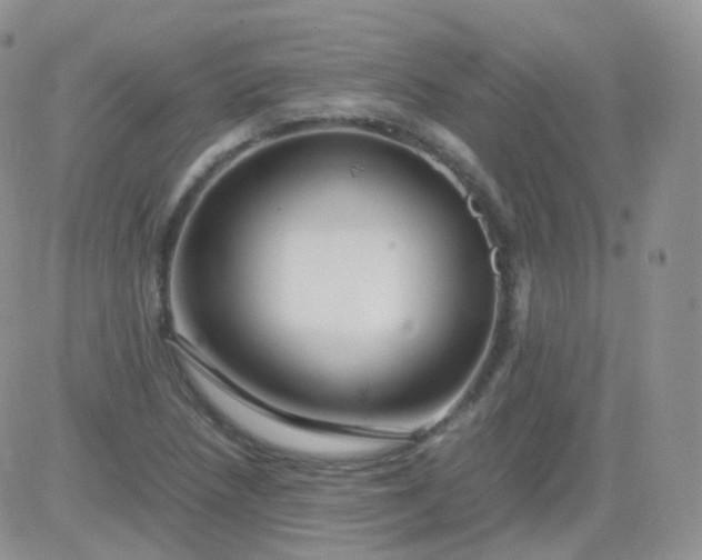 X0000081491218200701262045