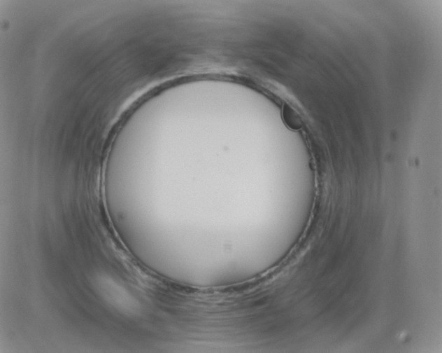 X0000081491220200701262045