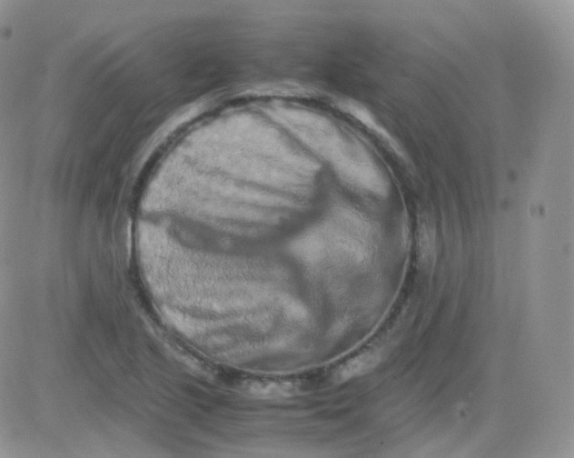 X0000081491221200701262045