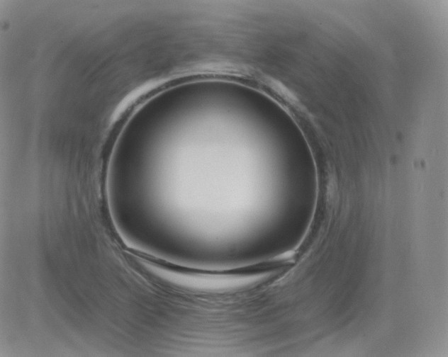 X0000081491222200701262045