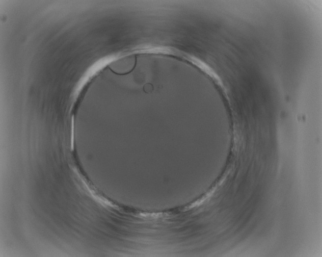 X0000081491223200701262045