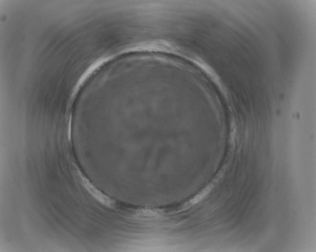 X0000081491224200701262045