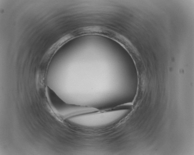 X0000081491225200701262045