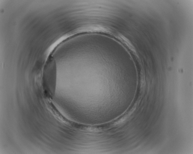 X0000081491226200701262045