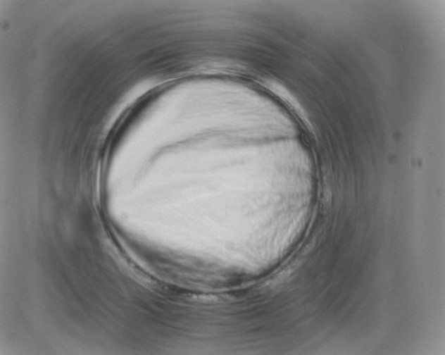 X0000081491227200701262045