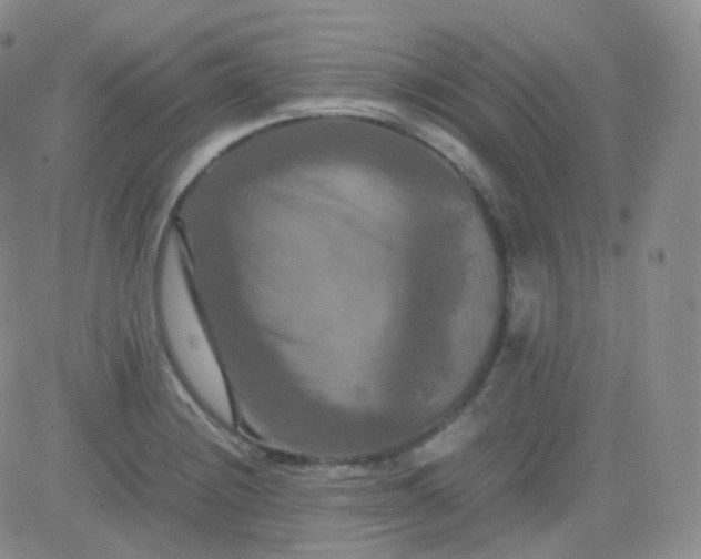 X0000081491228200701262045