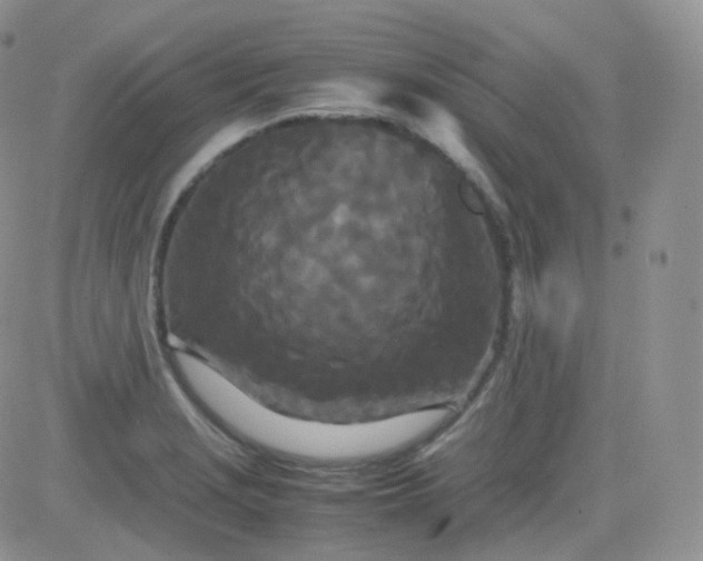 X0000081491229200701262045