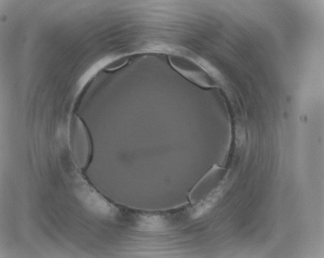 X0000081491230200701262045