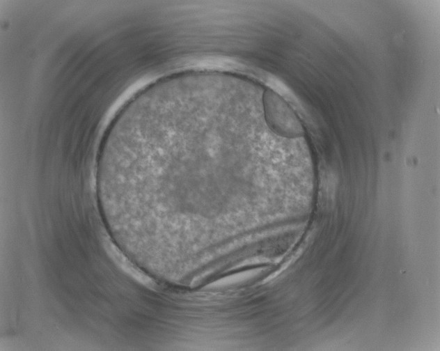 X0000081491232200701262045