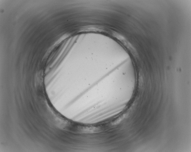 X0000081491233200701262045