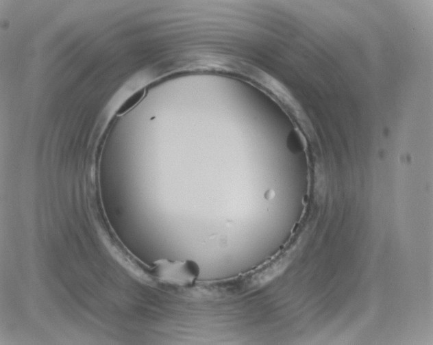 X0000081491234200701262045