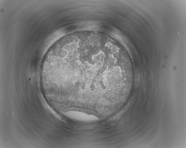 X0000081491235200701262045