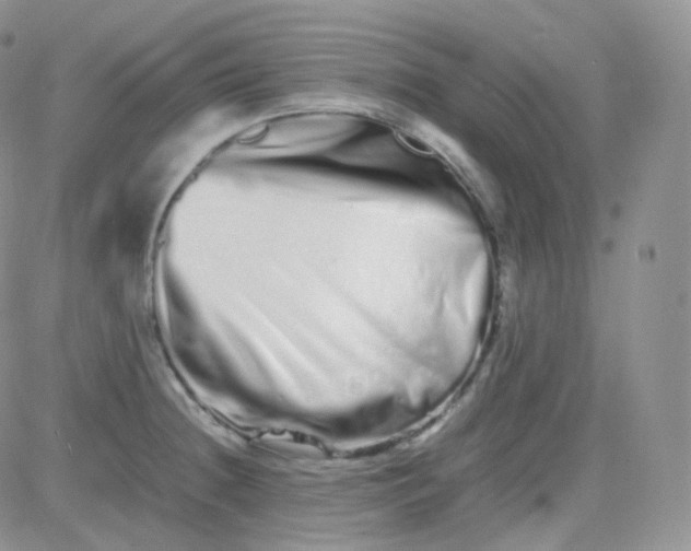 X0000081491236200701262045