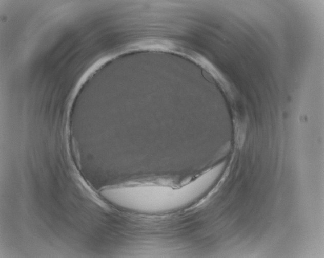 X0000081491240200701262045