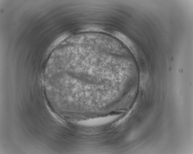 X0000081491241200701262045