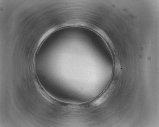 X0000081491242200701262046