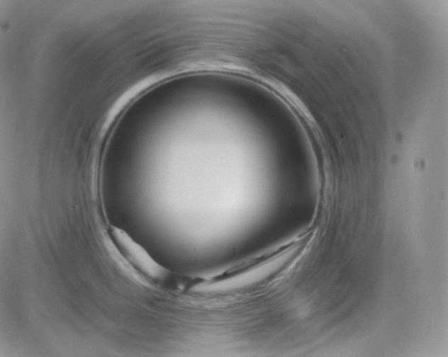 X0000081491246200701262046