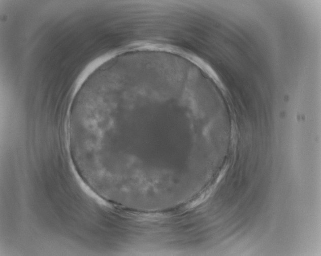 X0000081491247200701262046