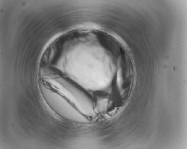 X0000081491248200701262046