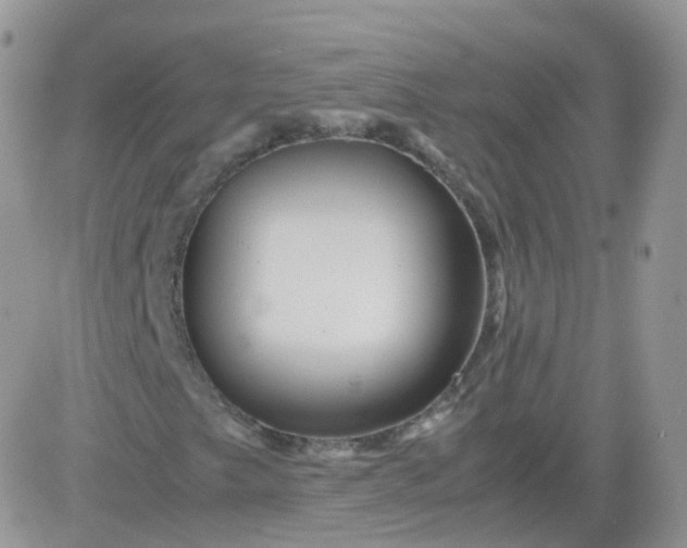 X0000081491249200701262045