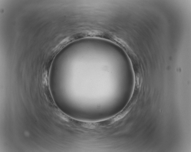 X0000081491251200701262045