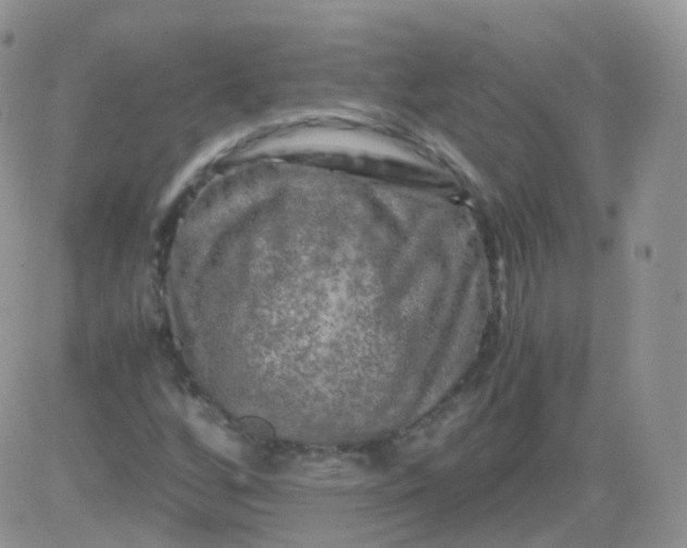 X0000081491256200701262045