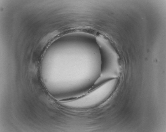 X0000081491257200701262045