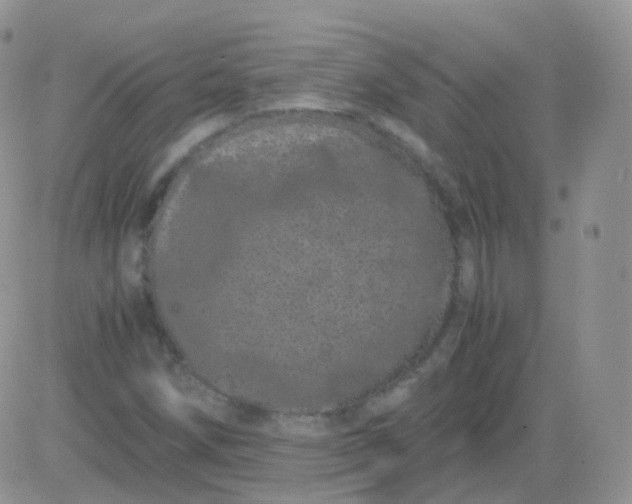 X0000081491258200701262045