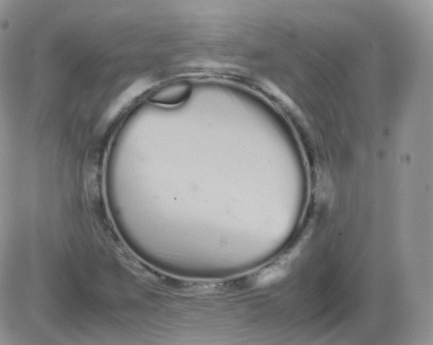 X0000081491259200701262045