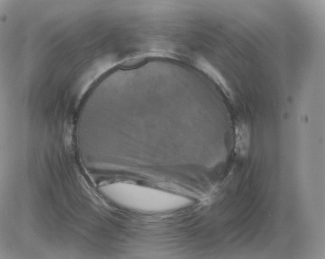 X0000081491260200701262045