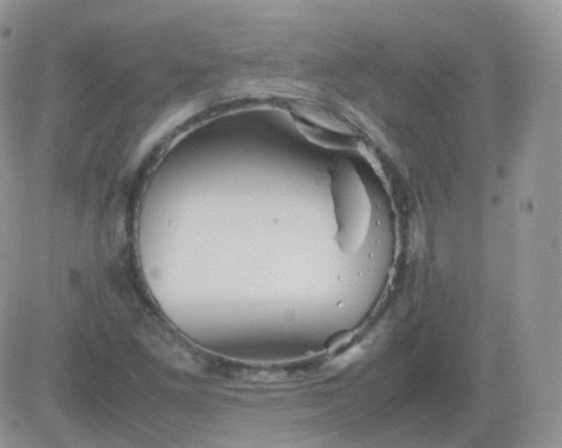 X0000081491261200701262045