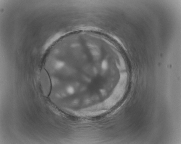 X0000081491263200701262045