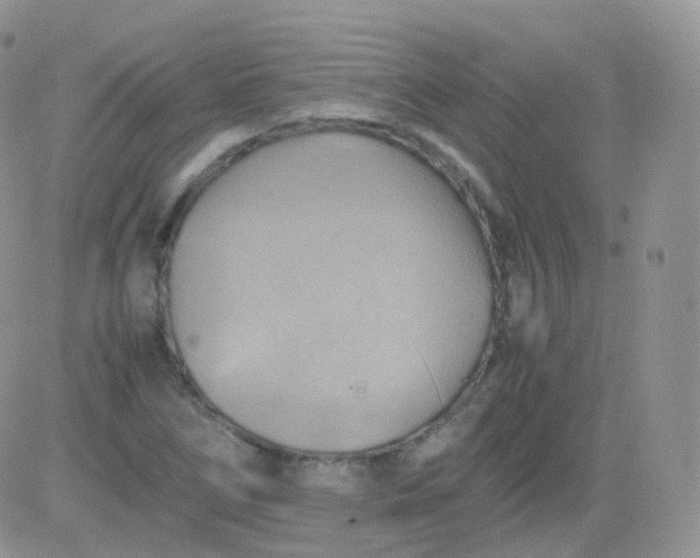 X0000081491266200701262045