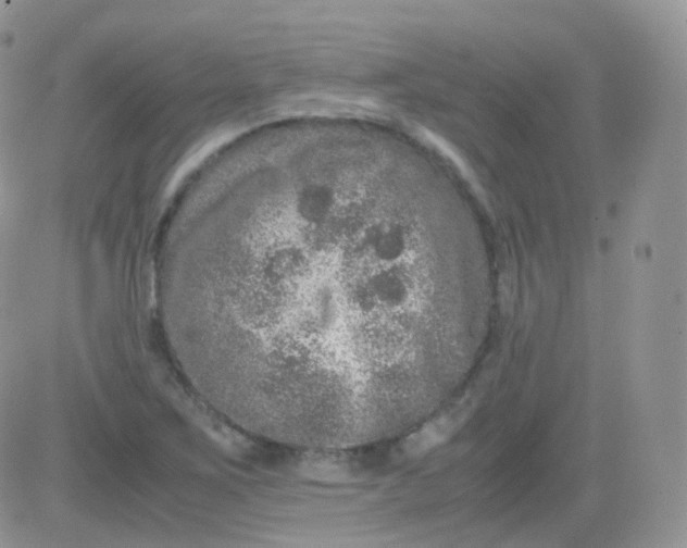 X0000081491267200701262045