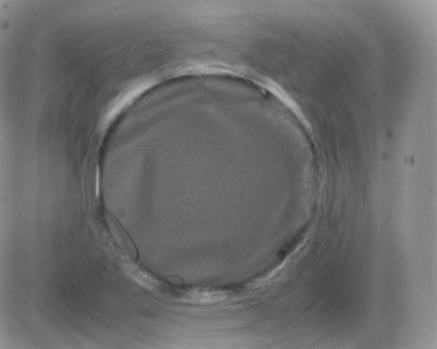 X0000081491269200701262044