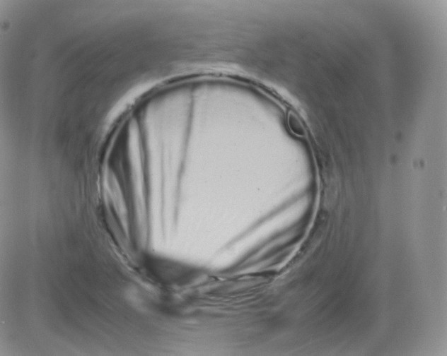 X0000081491271200701262044