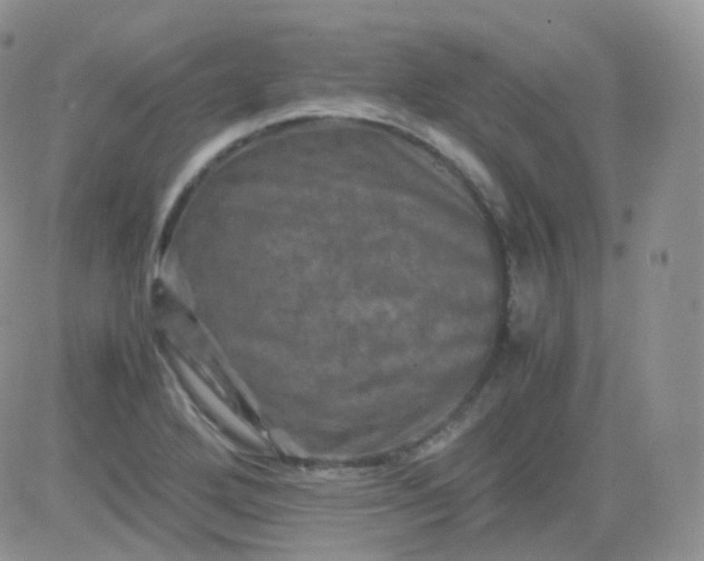 X0000081491272200701262044