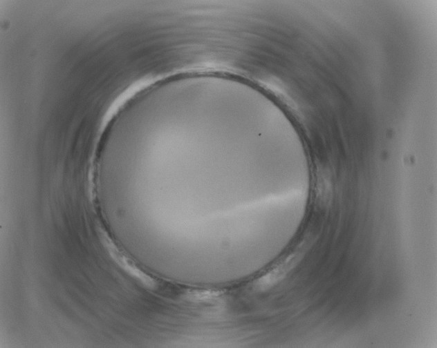 X0000081491278200701262044