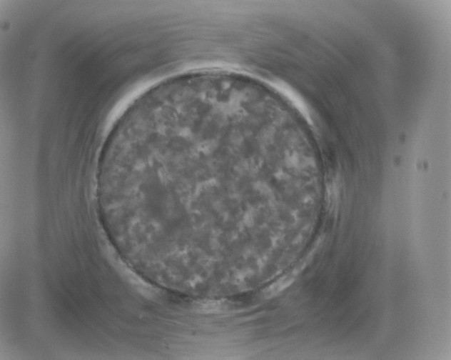 X0000081491279200701262044