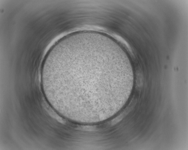 X0000081491280200701262044