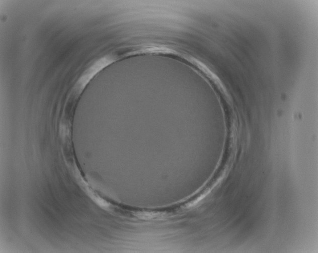 X0000081491281200701262044