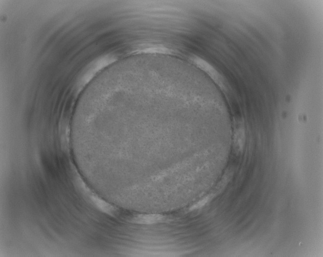 X0000081491282200701262044