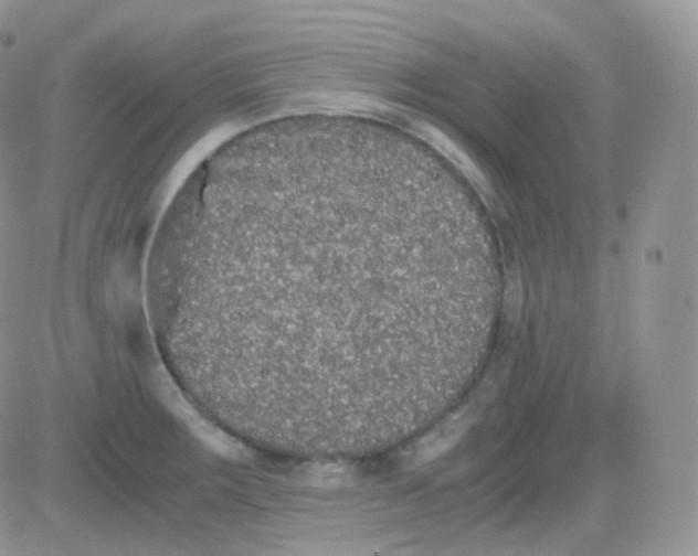 X0000081491283200701262044