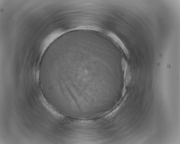 X0000081491284200701262044