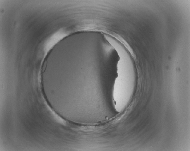 X0000081491285200701262044