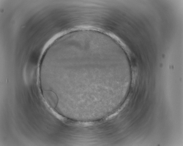 X0000081491286200701262044