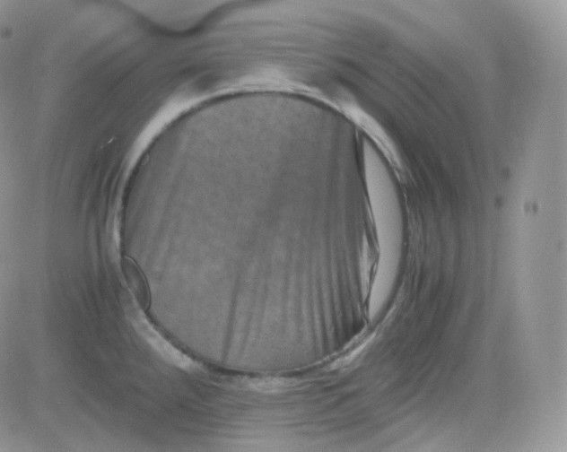 X0000081491288200701262044