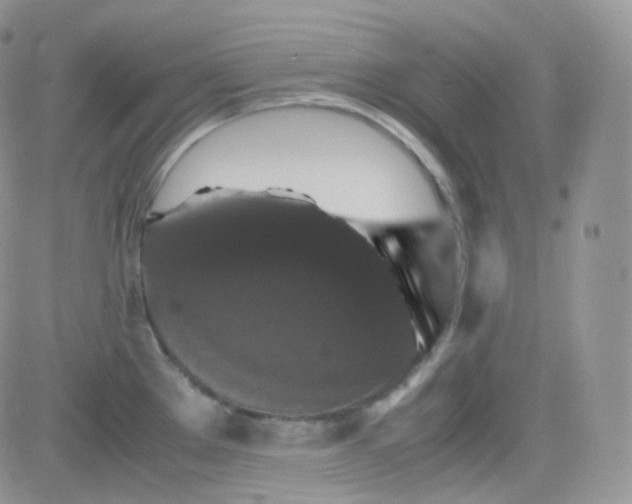 X0000081491289200701262044