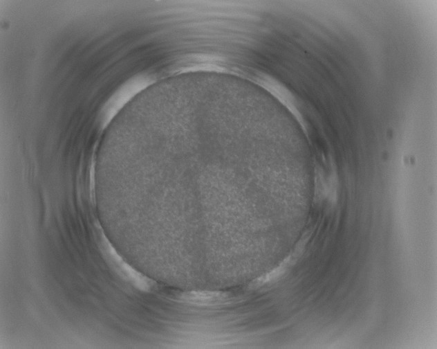 X0000081491290200701262044