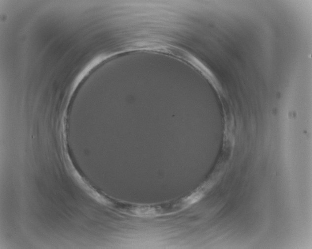 X0000081491291200701262044